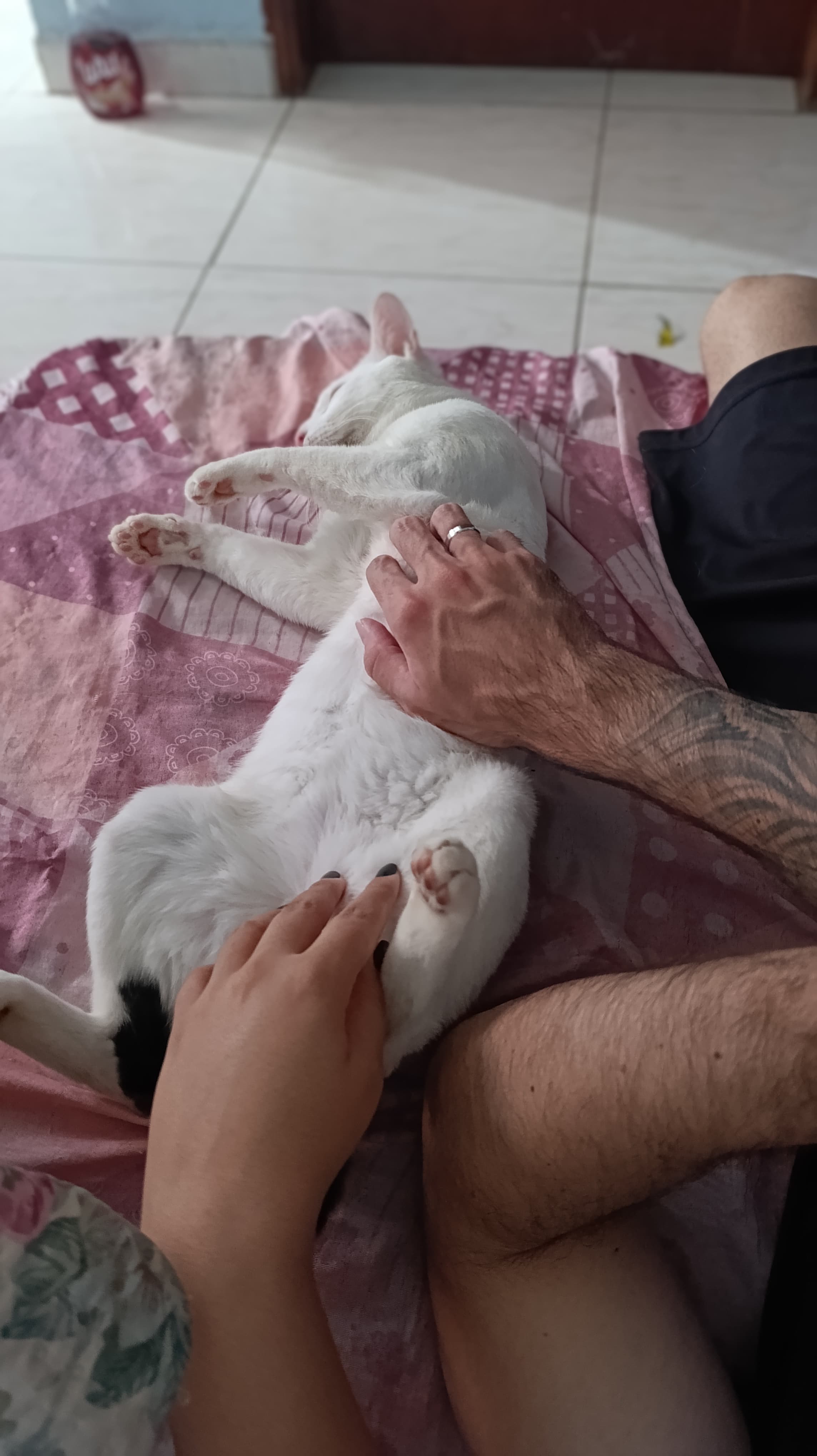 Foto 49